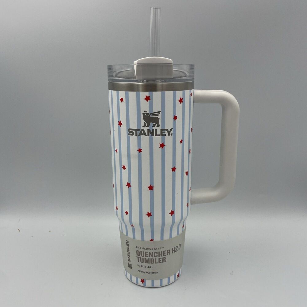 Stanley Flowstate Quencher H2.0 30oz Insulated Tumbler w/ Handle Lid Straw